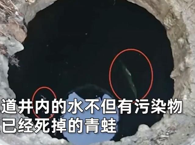 恶心想吐!小吃摊贩疑从下水道取水做食物,水面还漂浮1只死青蛙