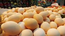 鸡蛋出场价连续4个多月低于成本