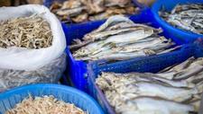 进口遇冷，国产鱼虾等水产品价格持续走高