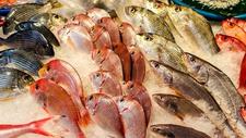 水产品价格涨势凶猛 草鱼、花鲢鱼价格涨幅超过50%