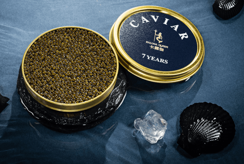 白羽鸡苗价格上涨300%；鱼子酱品牌“卡露伽”冰淇淋快闪店正式营业