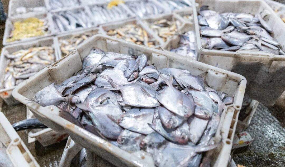 预制菜将有国家标准；库迪咖啡用3.2亿元在苏州成立投资公司