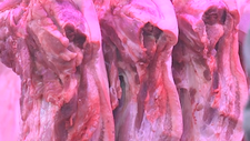 上海发布地产生猪、肉羊出栏前“瘦肉精”及其替代品监测计划