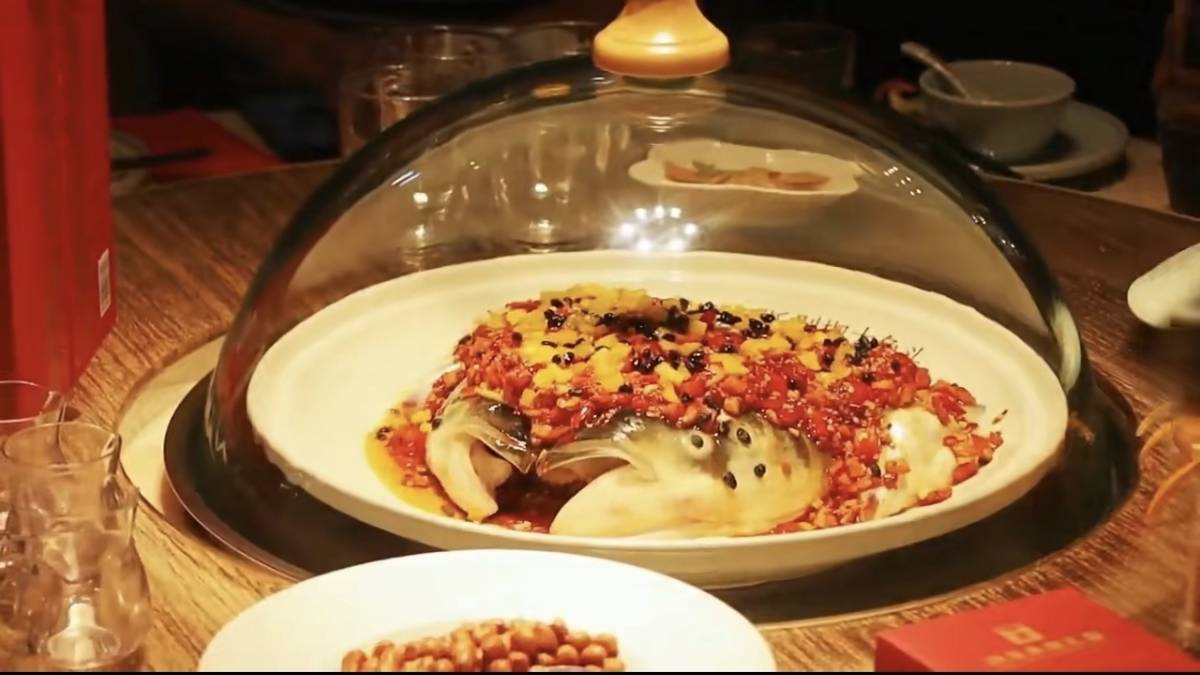 洞庭鱼头王28周年庆典暨2026年度核心赛事计划重磅发布