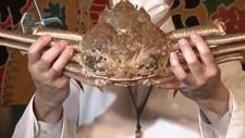 日本一只松叶蟹以500万日元的价格拍卖成交