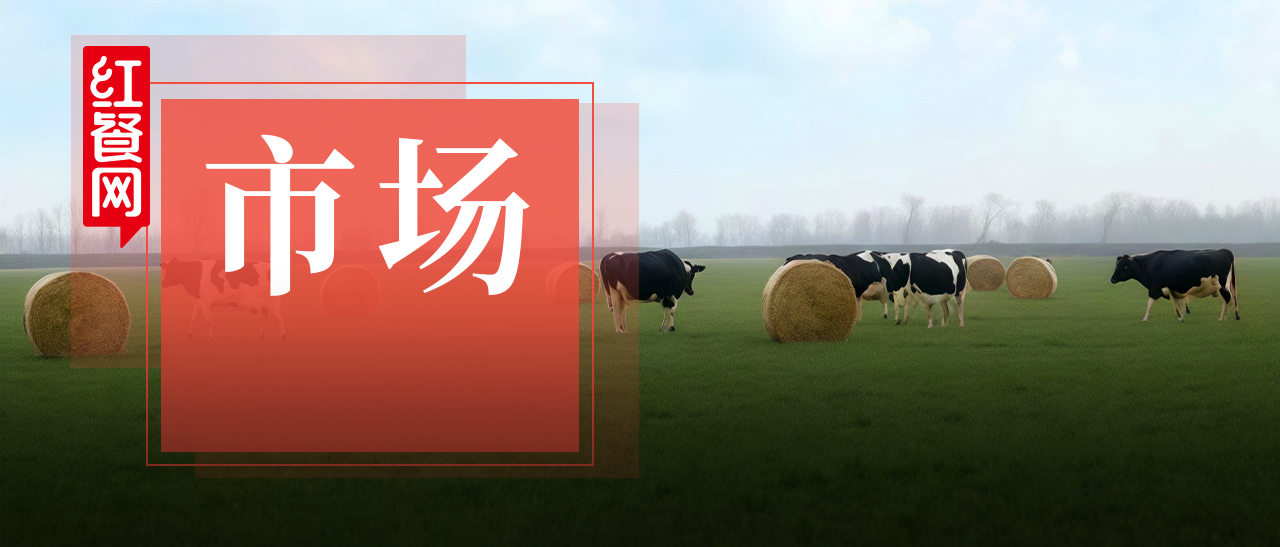 新茶饮品牌联手“乳业品质标兵”，开启茶饮新高度！