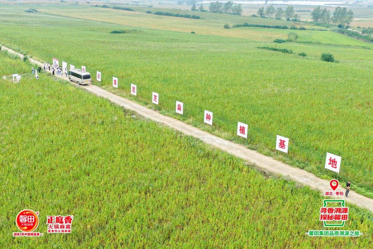 首度公開原料采購標準，頭部企業深入芝麻產區定義行業品質新高度