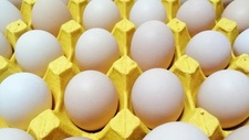 国内鸡蛋价格暴跌，低至3元多一斤！国外蛋价却在飙涨，什么情况？