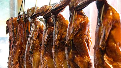 餐饮消费提振 广东市场鸭肉需求增加