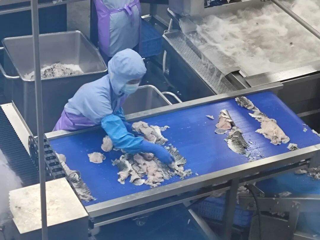 黑魚片巨頭，持續(xù)領跑蛻變！