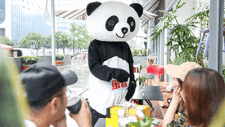 熊猫不走，谢谢锅，虎头局，用百亿学费，验证出的市场规律