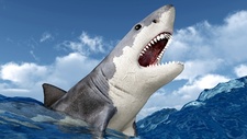 四川美食博主买国家二级保护动物噬人鲨烧烤 被罚12.5万元