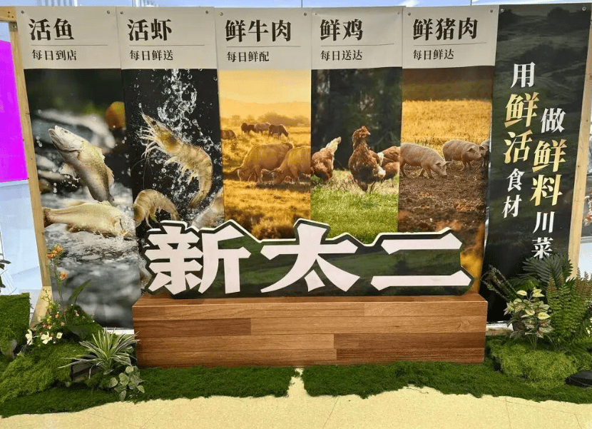 徹底改頭換面，“新太二·鮮料川菜”沖擊千億賽道？