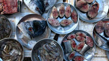 三亚市海鲜餐饮协会：甩干“水分”卖海鲜