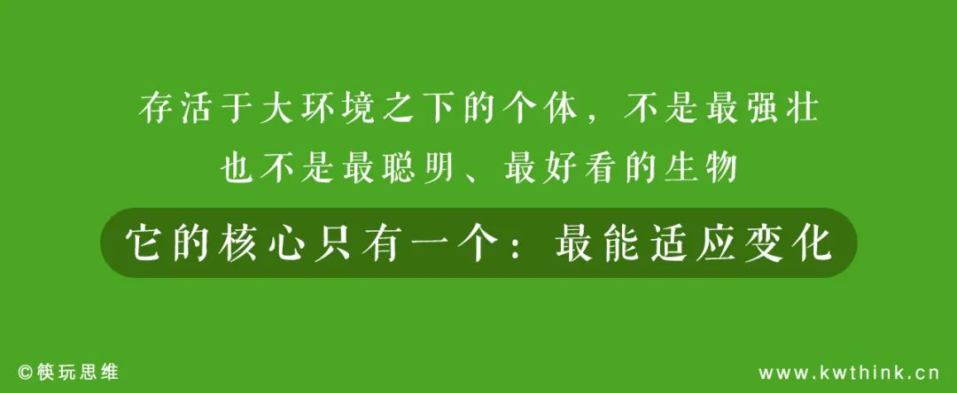 传统餐饮对餐饮业始终有提神醒脑的价值，是时候为传统餐饮正名了插图3