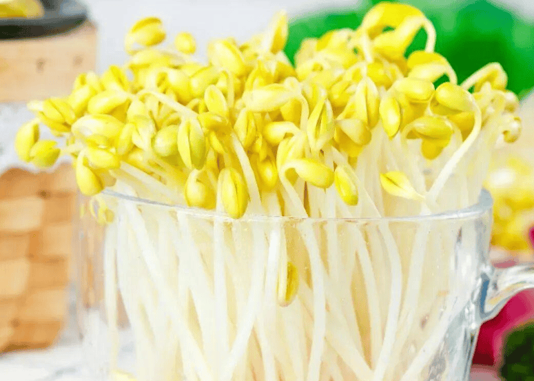 毒食材再现！豆芽这么便宜的东西，居然也有人动手脚