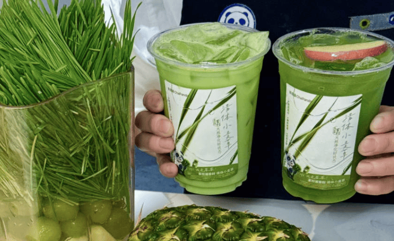这回真被“种草”了！茶百道小麦草系列热销40万杯