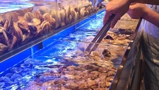 中国部分日料餐厅停止进口日本海产品