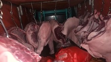 每日上千斤无检疫猪肉流向市场！记者暗访私屠滥宰作坊