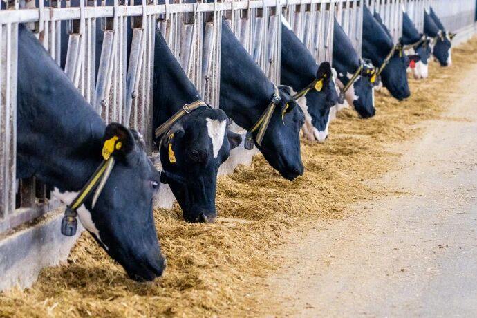 两次出手、豪掷11亿收购！能否缓解乳业巨头的焦虑？