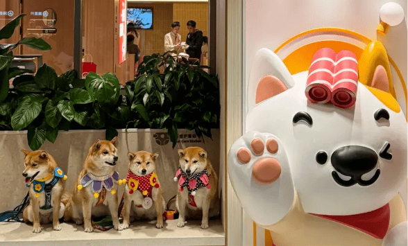 上市餐企接连中招！大批餐饮店正在放弃 “宠物友好”