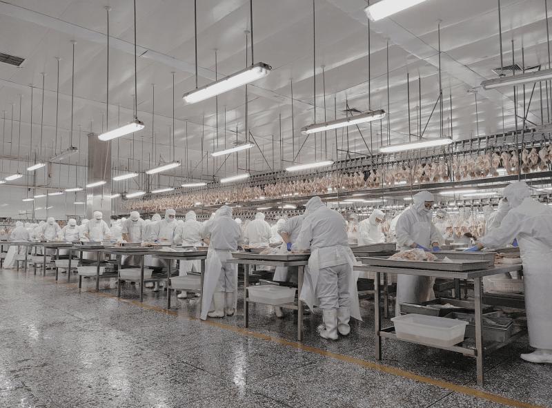 供应链名企 | 益客食品：合作华莱士、双汇，年销售禽肉产品超百万吨