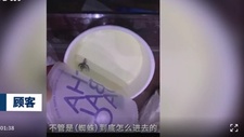 奶茶中喝出蜘蛛，“网红”茶百道又出事了