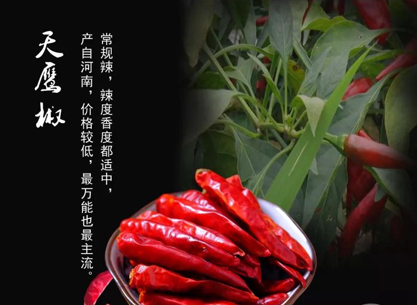 火锅中最常用的八种辣椒你认识吗？
